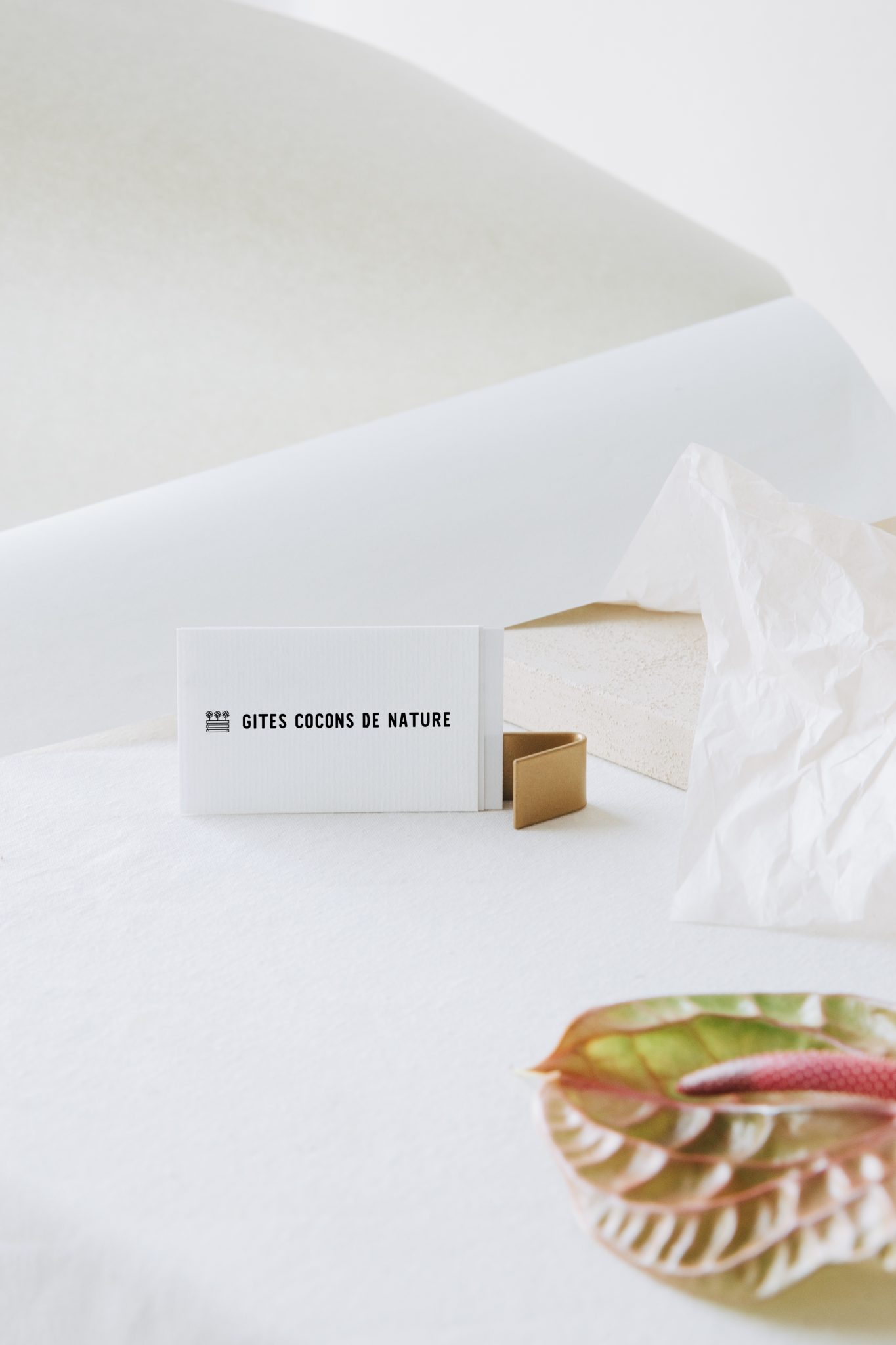 Lire la suite à propos de l’article Gîtes cocon de nature